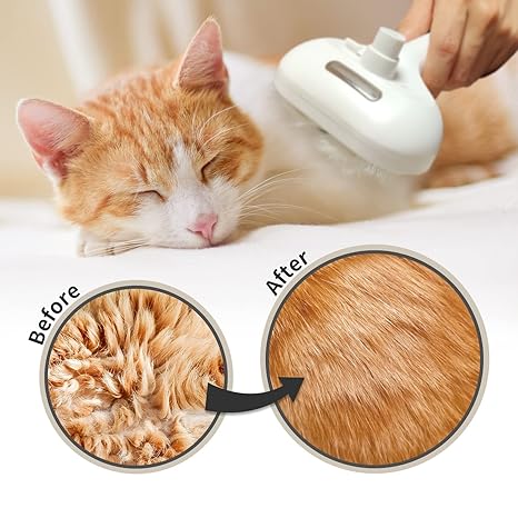 3-in-1 Steam Brush – Pet Hair Removal & Grooming Spray Comb for Cats & Dogs
