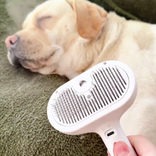 2. Mist & Brush