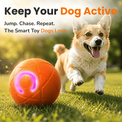 Electric Jumping Ball for Dogs – Automatic Interactive LED Dog Toy for Training & Play