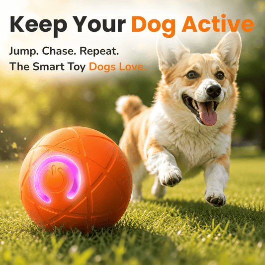 Electric Jumping Ball for Dogs – Automatic Interactive LED Dog Toy for Training & Play