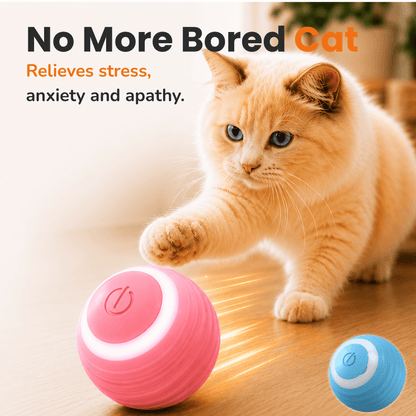Automatic Cat Teasing Ball – Interactive Self-Rolling Smart Toy for Indoor Cats