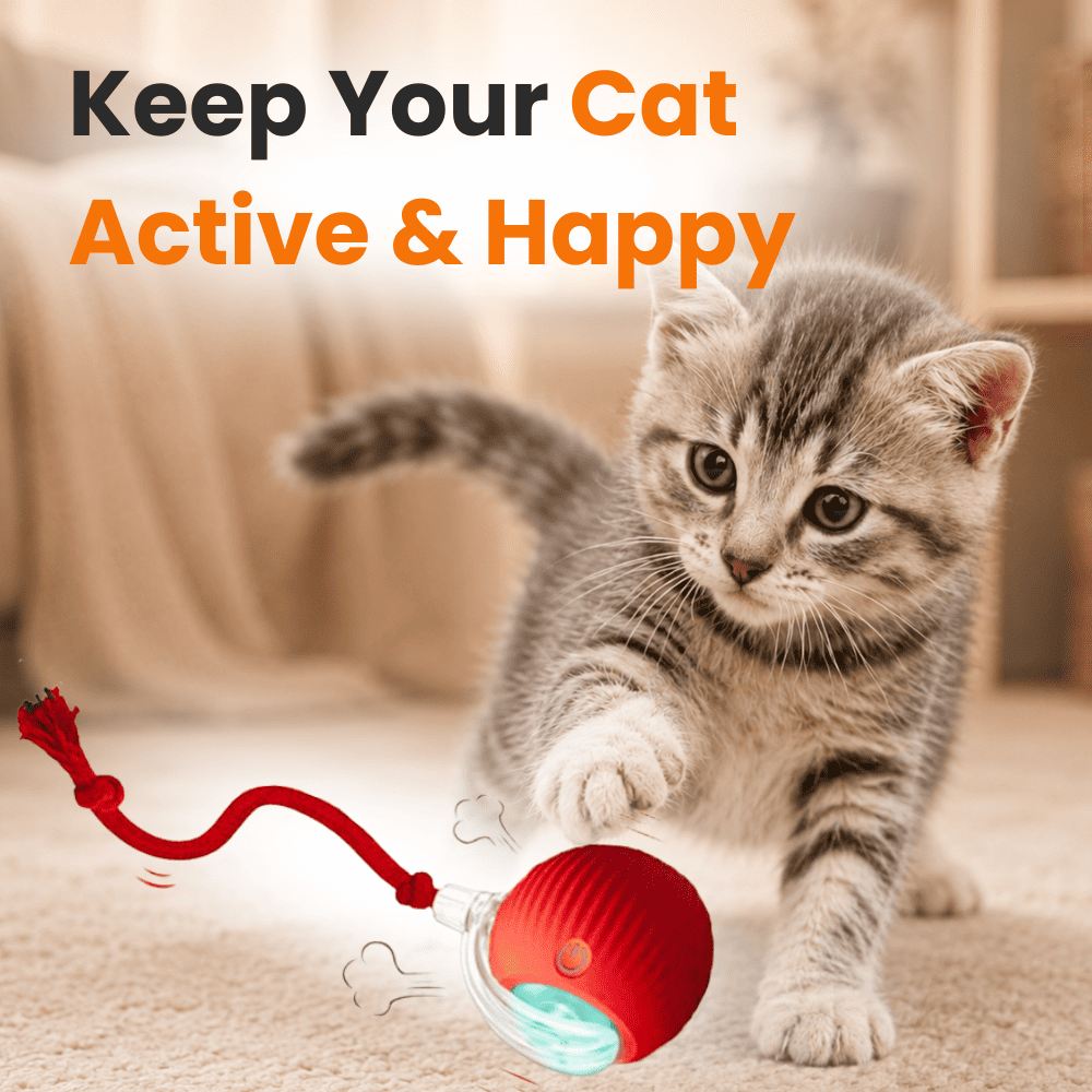 Interactive Cat Toy Ball Super Drive – Smart Automatic Rolling Ball for Indoor Cats