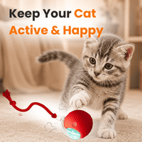 Interactive Cat Toy Ball Super Drive – Smart Automatic Rolling Ball for Indoor Cats