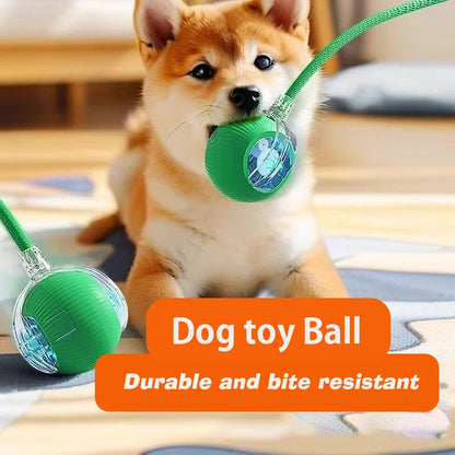 Interactive Cat Toy Ball Super Drive – Smart Automatic Rolling Ball for Indoor Cats