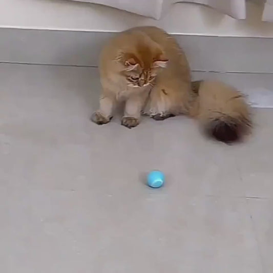 Automatic Cat Teasing Ball – Interactive Self-Rolling Smart Toy for Indoor Cats